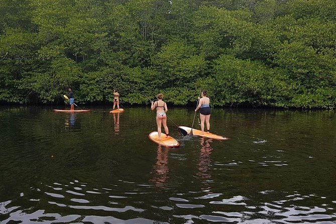 1 Hour Mangrove Tour From Lembongan with Kayak, Paddle, or Boat - Practical tips for a smoother outing