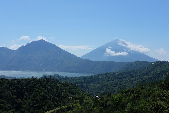 2-Day Private Sightseeing Tour of Bali with Hotel Pickup - Day two changes from royal gardens to a forest waterfall