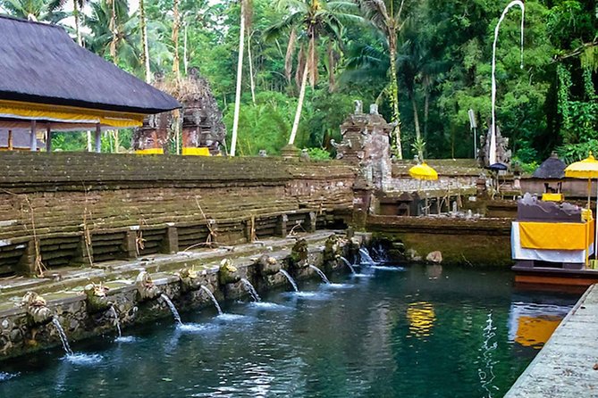 2 Days Best of Bali Famous Tour Packages - The private car and guide make the difference