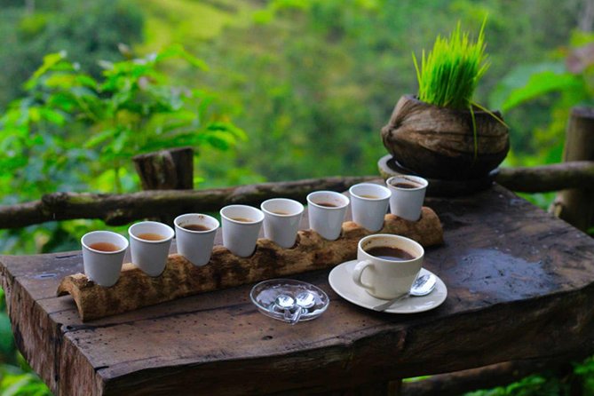 2 Days Best of Bali Famous Tour Packages - Who should book it, and who should skip it?
