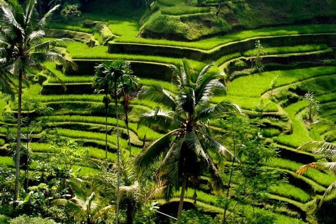 2 Days Mount Batur Sunrise Trekking With Private Ubud Day Tour - Transfers from Seminyak and south Bali
