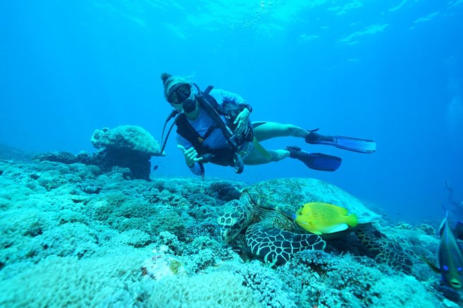 2 or 3 dives in Nusa Lembongan and Penida, for certified diver (in Lembongan) - Manta rays set the tone from Nusa Lembongan