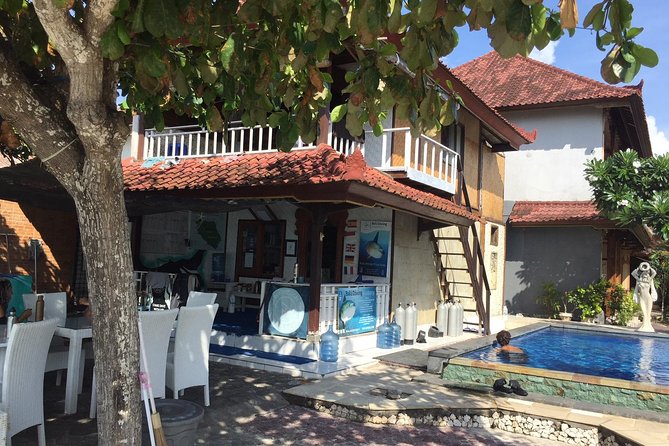 2 or 3 dives in Nusa Lembongan and Penida, for certified diver (in Lembongan) - Lunch makes the surface interval easier