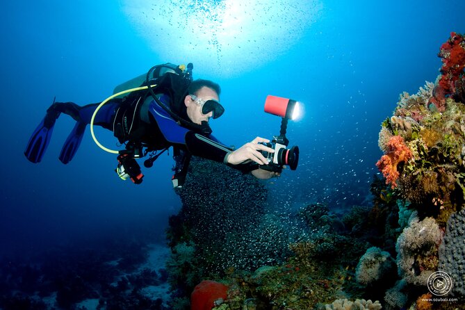 2 or 3 dives in Nusa Lembongan and Penida, for certified diver (in Lembongan) - Why the $105 price can be good value