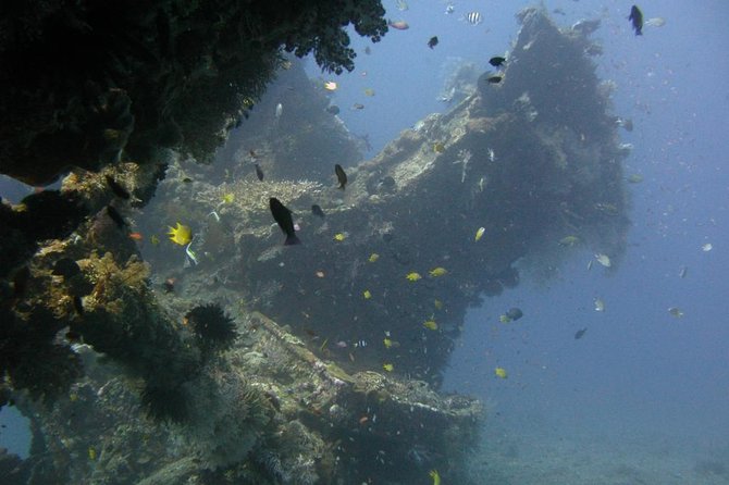 2 PADI Certified Dives at Tulamben from Bali - The 7:00 AM Start and Ride From Bali