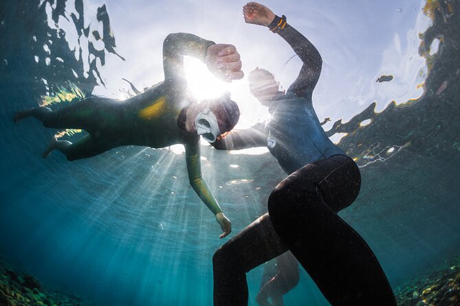 3-Day Freediving Level 1 Course - Equipment, photos, and what the $450 covers