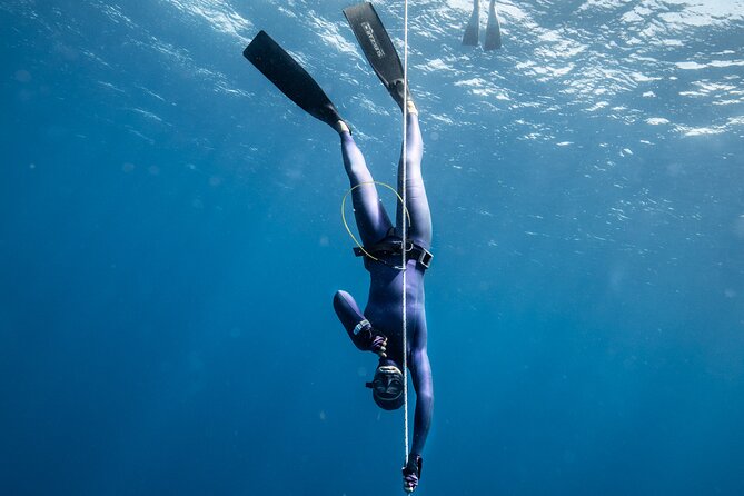 3-Day Freediving Level 1 Course - The real value of three days in the water