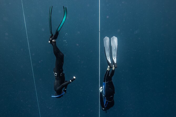 3-Day Freediving Level 1 Course - Who will get the most from this course