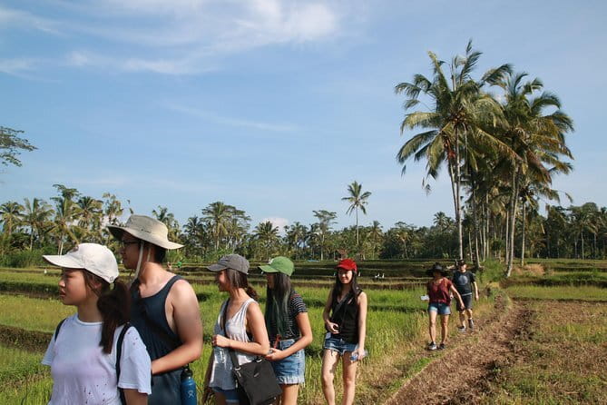 3-Day Private Sightseeing Tour of Bali with Hotel Pickup - How the price works for different kinds of visitors
