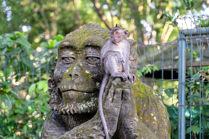 3 Days for the best of Ubud Private Tour - Why this Ubud tour works as a three-day sampler