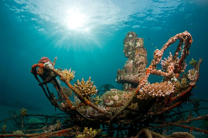 3 Days PADI Open Water Course in Pemuteran - The value of a $425 PADI qualification