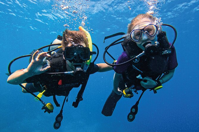 3 Days PADI Open Water Course in Pemuteran - Day one: online theory and confined-water practice