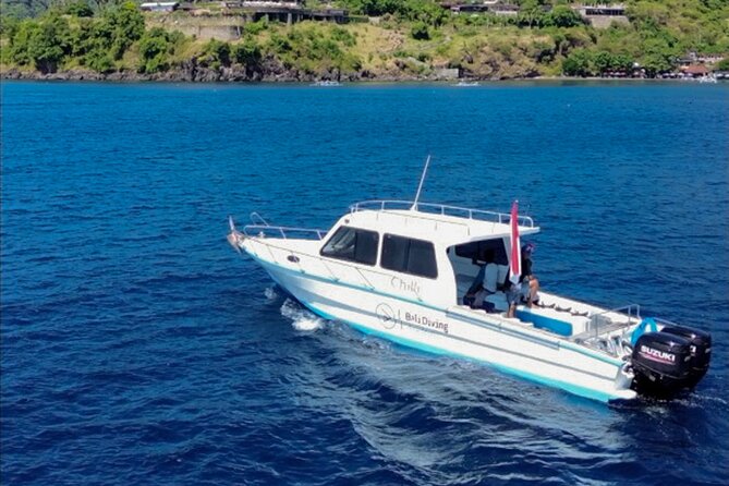 3 Epic Dives in Nusa Penida - Certified Divers' Day Trip - A 6:45 am start from South Bali