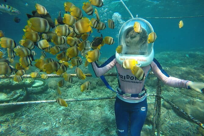 30 Minutes Ocean Walking in Nusa Dua, Bali - What the Ocean Walk at Tanjung Benoa Is Really Like