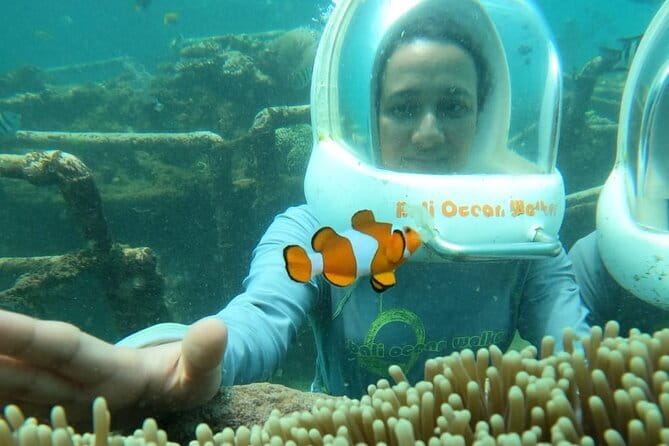 30 Minutes Ocean Walking in Nusa Dua, Bali - The Helmet, Air Hose, and Comfort Underwater
