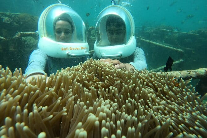 30 Minutes Ocean Walking in Nusa Dua, Bali - Timing, Flights, and Other Practical Limits