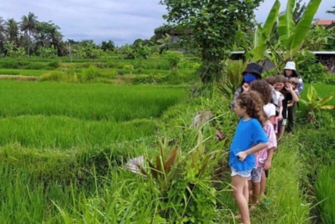 30 Minutes Ocean Walking in Nusa Dua, Bali - What the Strongest Feedback Tells You