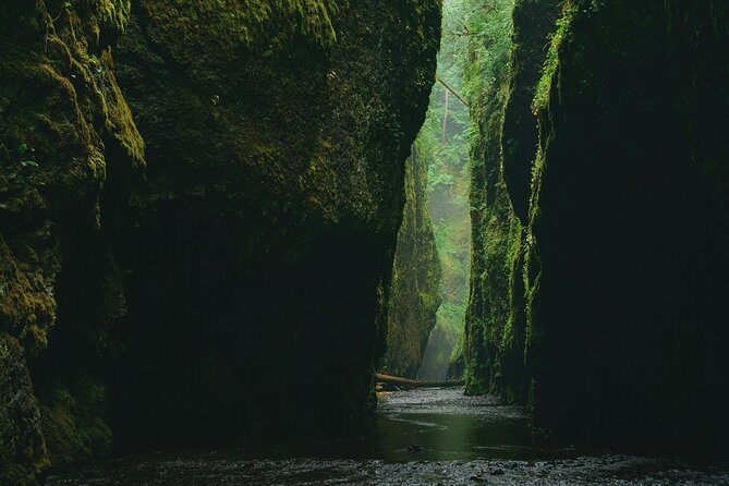 3Hrs Intermediate Canyoning in North Bali (Pickup, Lunch & GoPro) - Three ziplines add speed and variety