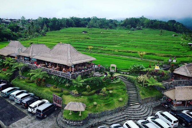 4-Hour Private Tour in Jatiluwih Terraces and Butterfly Park - Why this four-hour route works from Kuta