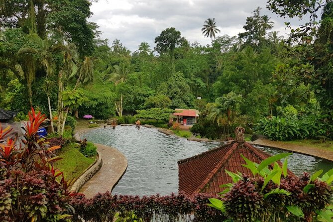 4-Hour Private Tour in Jatiluwih Terraces and Butterfly Park - Private transport and the value of a $70 tour