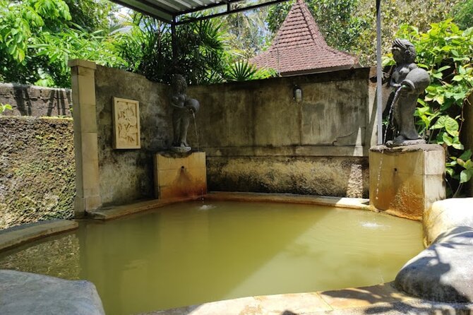 4-Hour Private Tour in Jatiluwih Terraces and Butterfly Park - Who should book this private Bali outing?
