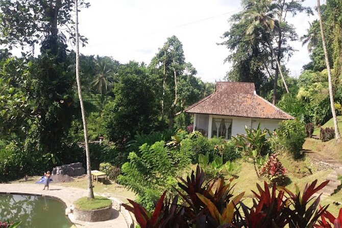 4-Hour Private Tour in Jatiluwih Terraces and Butterfly Park - What to know before you go