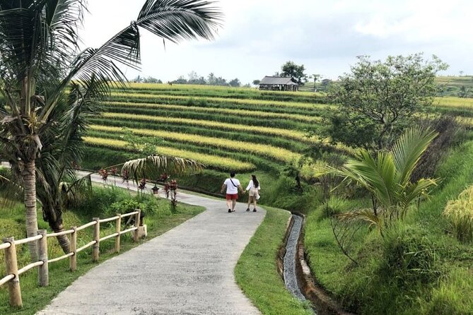 4-Hour Private Tour in Jatiluwih Terraces and Butterfly Park - Bali Butterfly Park: a gentle first stop