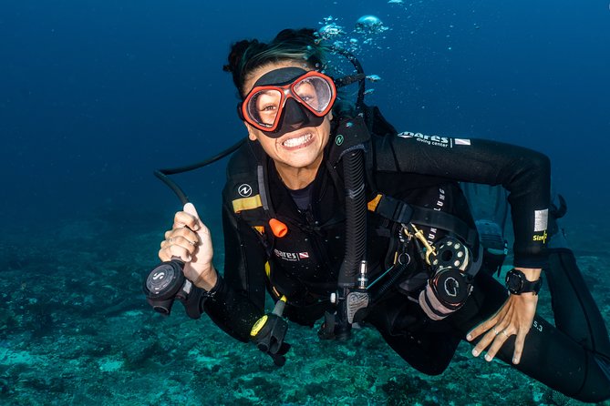 5 Fun Dives in Nusa Lembongan (for certified divers) - Swim with a Mola Mola - Key points to know before booking
