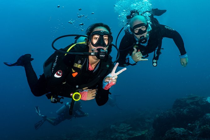 5 Fun Dives in Pemuteran (for certified divers) - Exploration in Menjangan Park - The best way to prepare