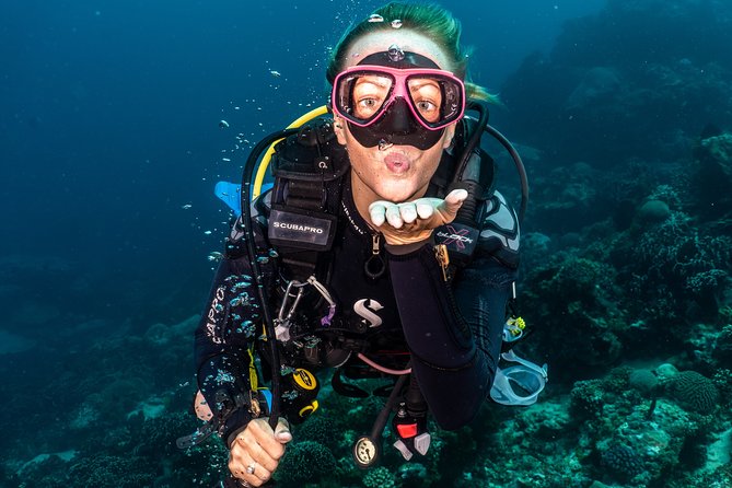 5 Fun Dives in Pemuteran (for certified divers) - Exploration in Menjangan Park - Eels Garden and Menjangan’s coral walls