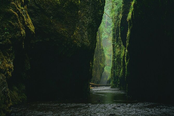 5Hrs Advanced Canyoning (50m) 12 Rappels (Pickup, Lunch & GoPro) - Guides, safety, and the learning curve