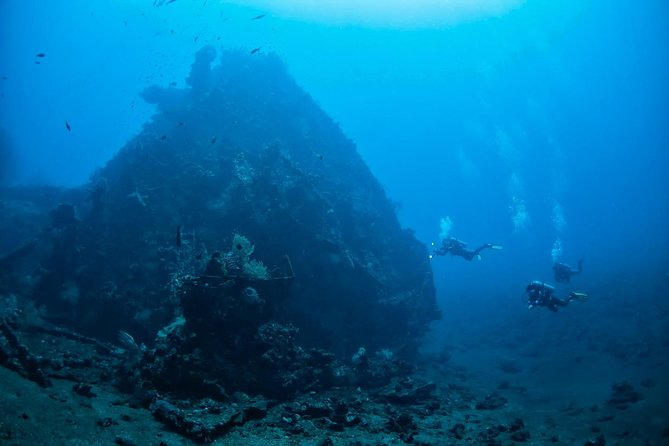 7 Fun Dives in Tulamben (for certified divers) - Premium Value Package - Why seven sessions work well in Tulamben