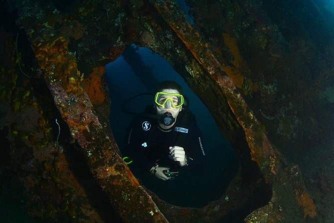 7 Fun Dives in Tulamben (for certified divers) - Premium Value Package - Guides who shape the experience