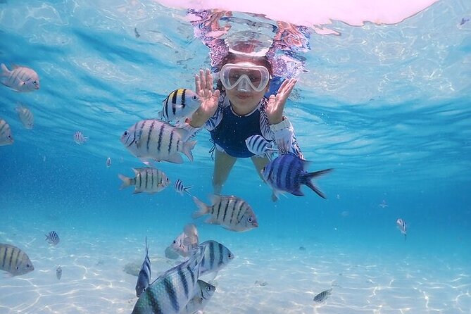 (ALL- IN) Bali Snorkeling Blue Lagoon with Waterfall Visit - Tegenungan Waterfall after the coast