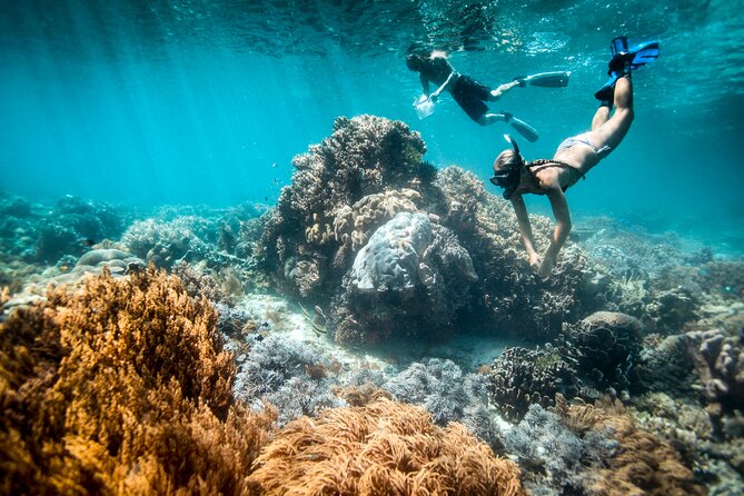 All Inclusive Bali Blue Lagoon and Tanjung Jepun Snorkeling - Key points to know before booking