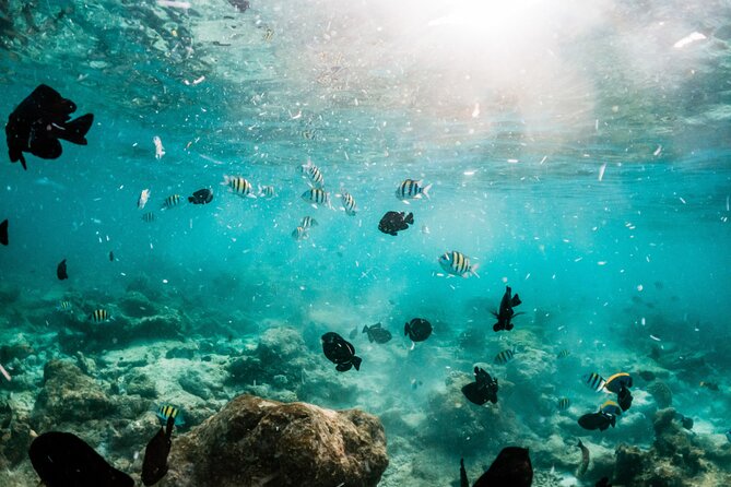 All Inclusive Bali Blue Lagoon and Tanjung Jepun Snorkeling - Equipment for beginners and people who wear glasses