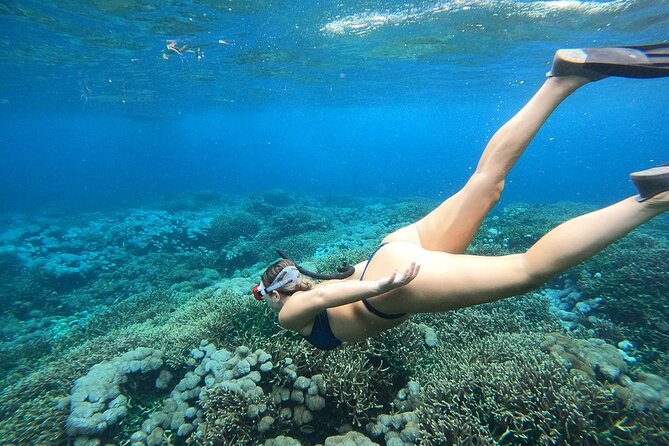 All Inclusive Bali Blue Lagoon and Tanjung Jepun Snorkeling - What the private format really gives you