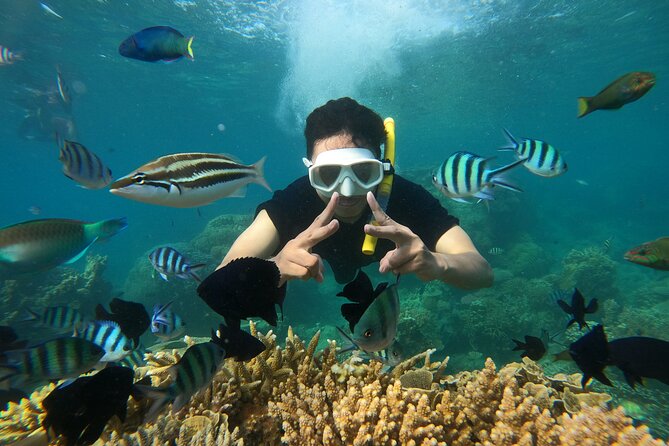 All Inclusive Bali Blue Lagoon and Tanjung Jepun Snorkeling - Who will get the most from this outing