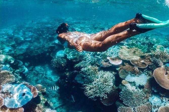 All Inclusive : Bali Blue Lagoon Snorkeling, Lunch, and Transport - What the six-hour Blue Lagoon day is really like
