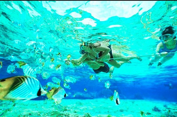 All Inclusive : Bali Blue Lagoon Snorkeling, Lunch, and Transport - The driver can shape the day as much as the reef