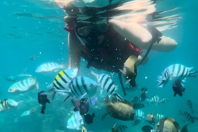All Inclusive : Bali Blue Lagoon Snorkeling with Lunch &Transfers - Tanjung Jepun adds a second reef view
