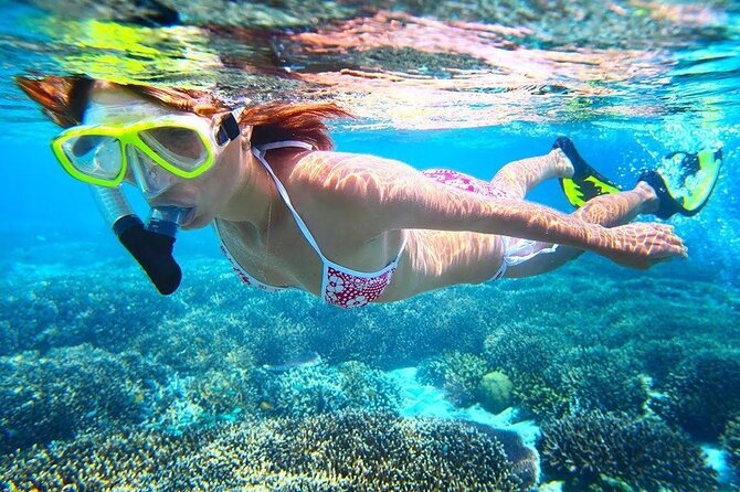 All Inclusive : Bali Blue Lagoon Snorkeling with Lunch &Transfers - How the timing shapes the day