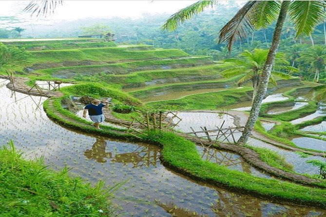 ALL INCLUSIVE - Bali Gate Of Heaven Tour - Who will enjoy this tour most