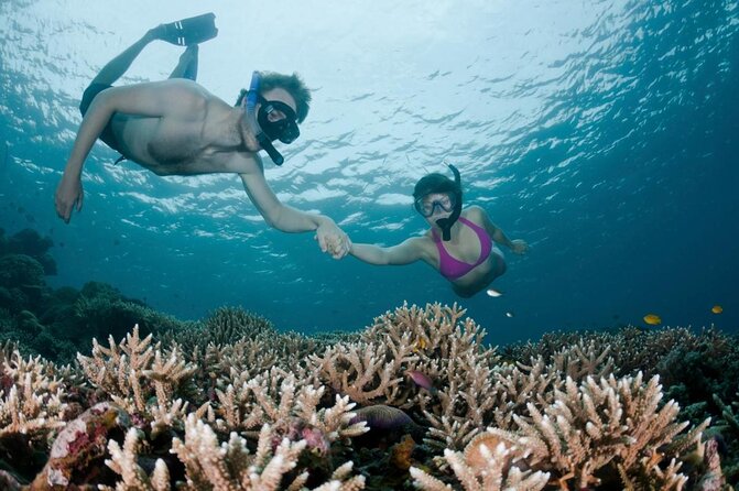 All Inclusive Bali Scuba Diving at Tulamben with Lunch -Transport - Key points to know before booking