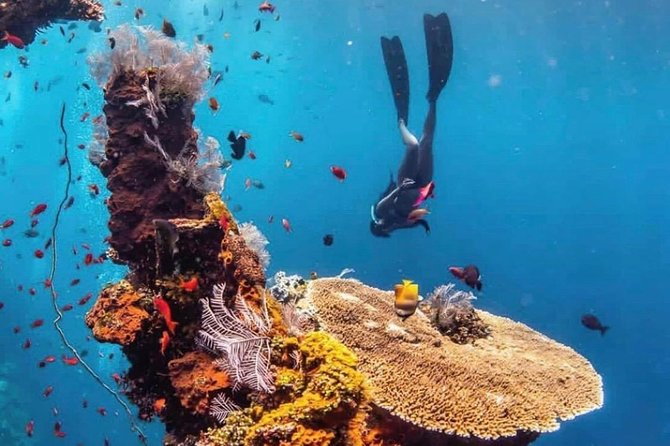All Inclusive Bali Scuba Diving at Tulamben with Lunch -Transport - Why this Bali coast trip is more than a quick first lesson