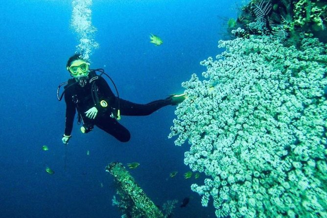 All Inclusive Bali Scuba Diving at Tulamben with Lunch -Transport - What the underwater time may be like