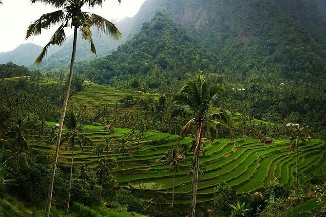 All inclusive Bali Sekumpul Waterfalls Trekking Tour - Fiji Waterfall and the longer water session