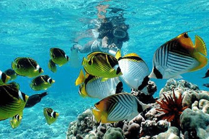 All Inclusive Bali Snorkeling Blue Lagoon tour experience - The 2:00 PM local lunch