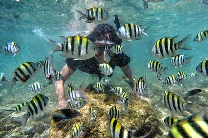 All Inclusive Bali Snorkeling Blue Lagoon tour experience - What the private format is really worth