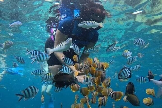 All Inclusive Blue Lagoon Snorkeling with Bali ATV Quad Adventure - Lunch and Transport Make the $70 Price Easier to Judge